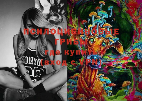 герыч Няндома